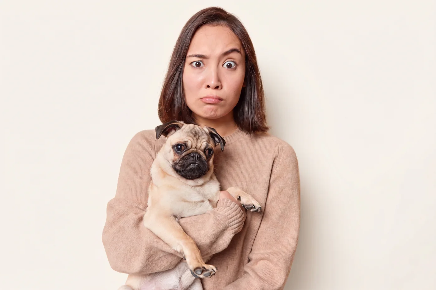A dog owner holding her pug, unsure whether pet friendly really means welcome